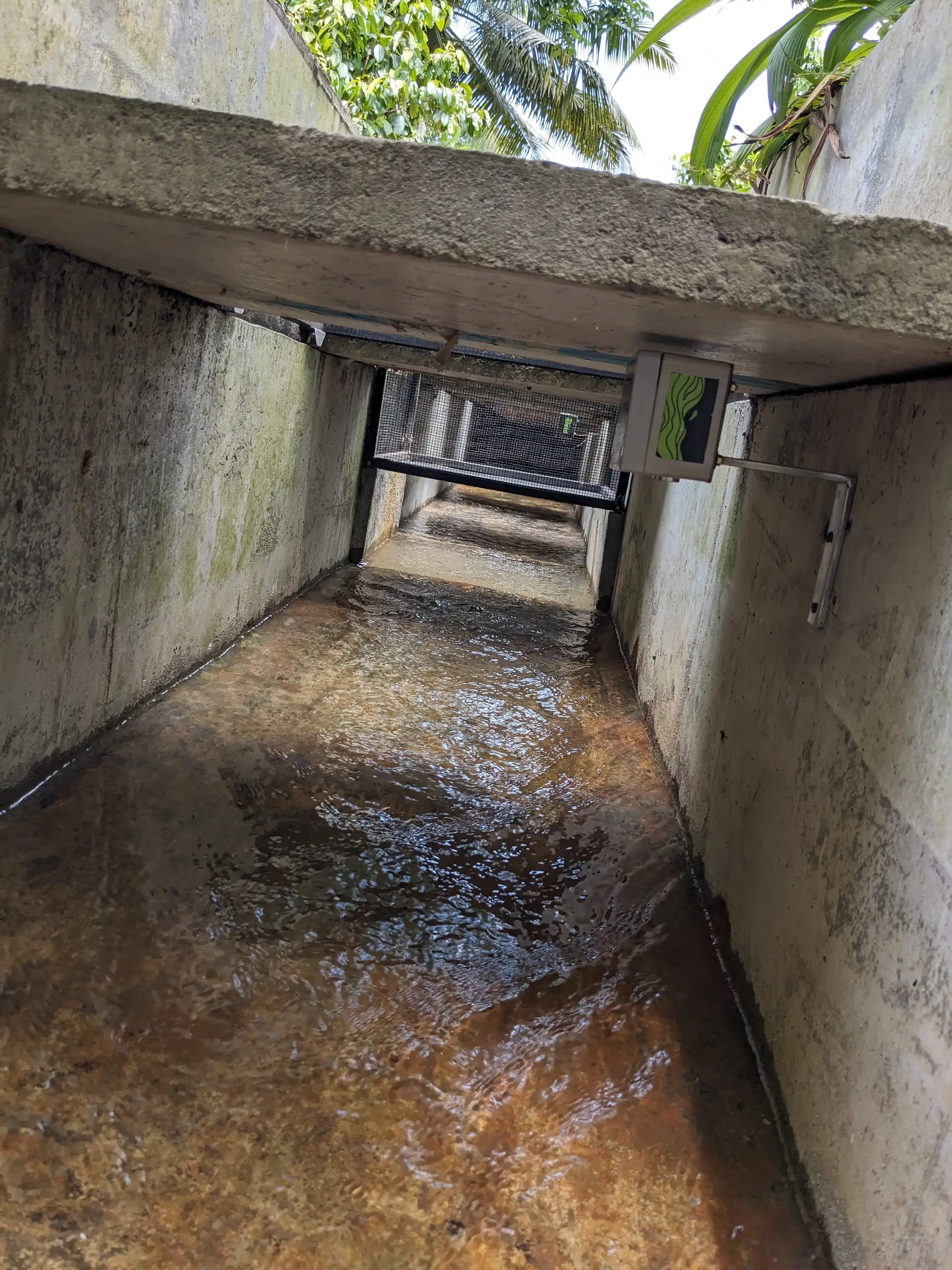 smart drain water management image two"