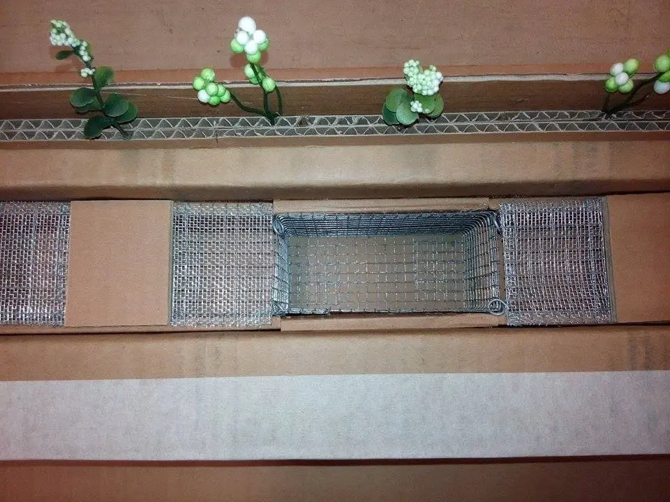 ninth development image