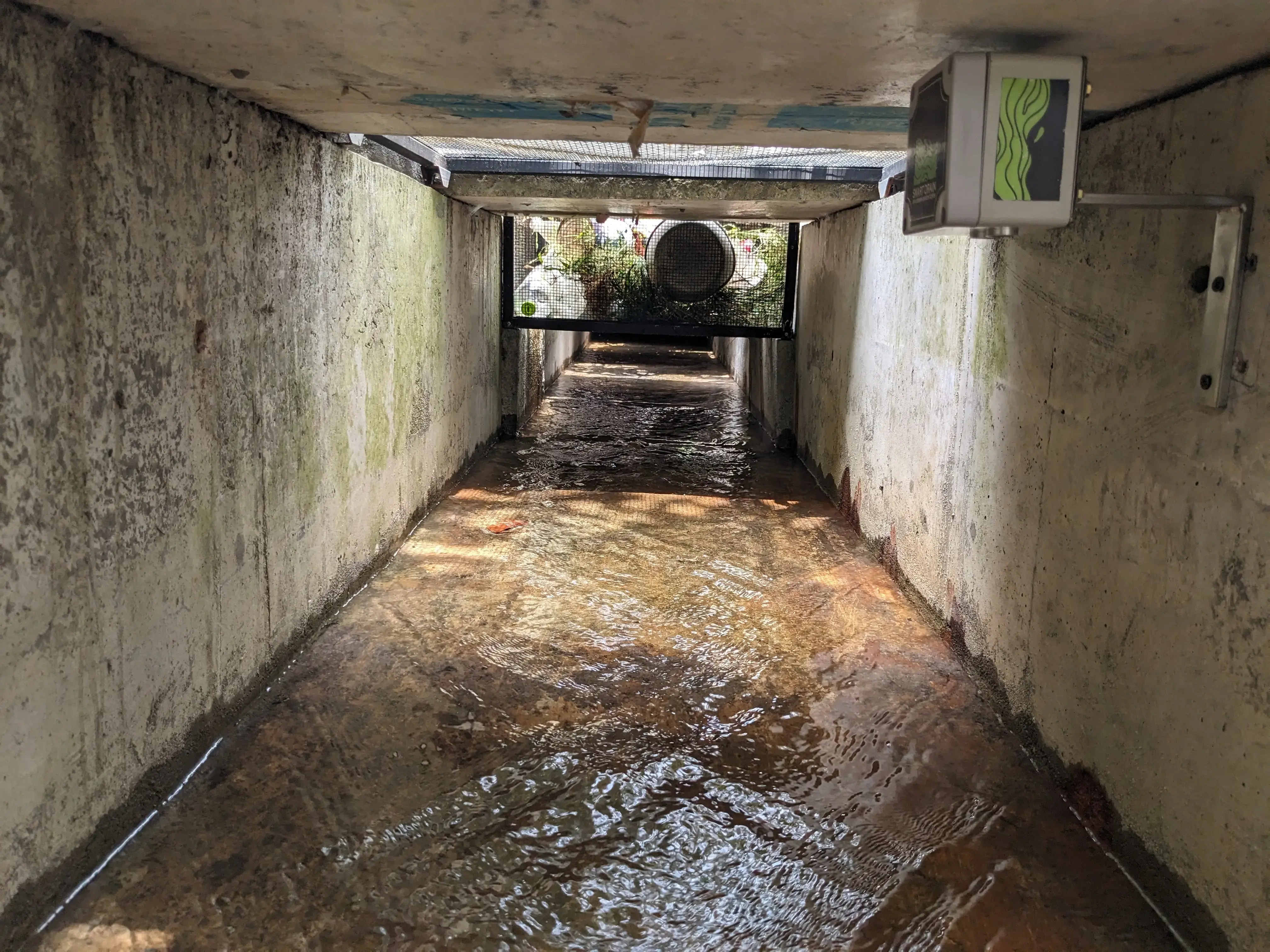 third development image